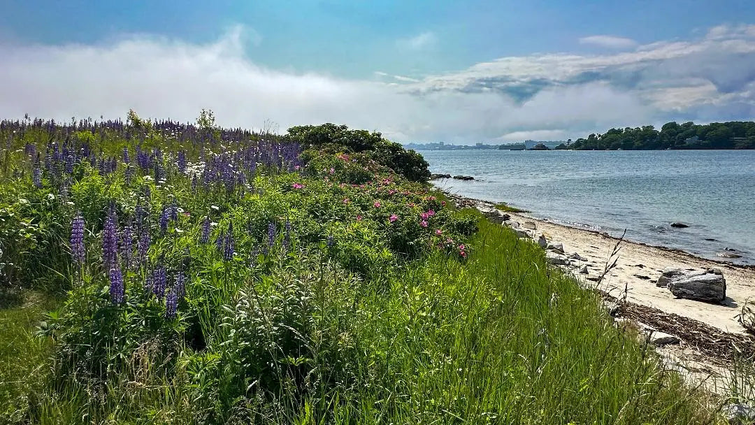 Peaks Island Pendant